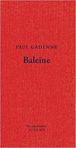 Baleine 