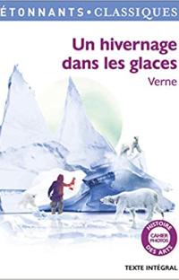 Un hivernage dans les glaces