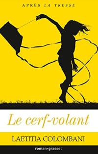 Le cerf-volant