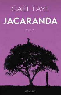 Jacaranda